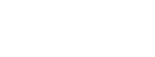 light logo